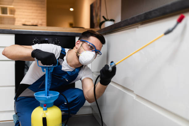 Best Pest Prevention Services  in Pharr, TX