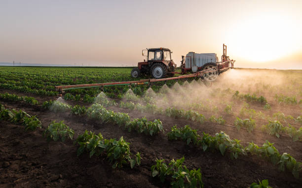 Trusted Pharr, TX Pest Control Experts