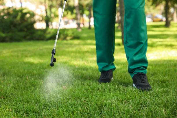 Best Best Pest Control Companies  in Pharr, TX