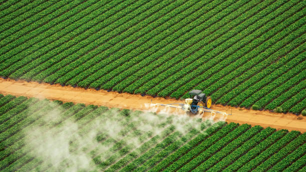 Best Commercial Pest Control Services  in Pharr, TX
