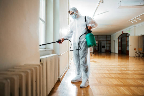 Pest Prevention Services in Pharr, TX