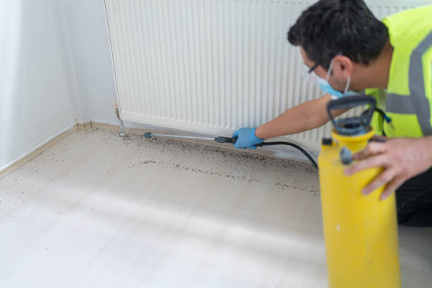 Best Flea Control Services  in Pharr, TX